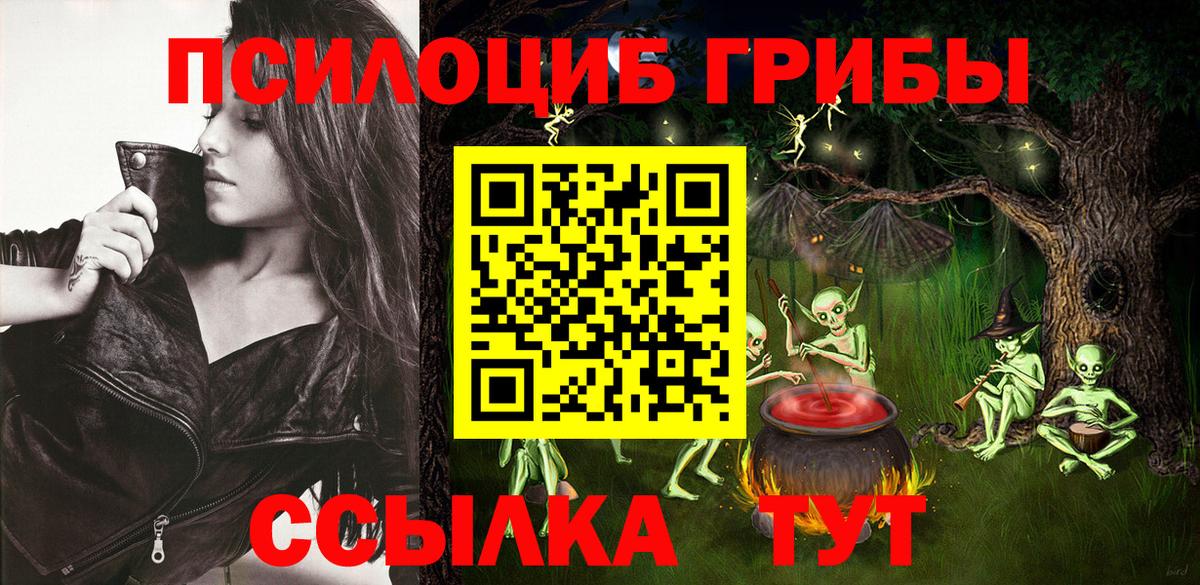 Дубна  Галлюциногенные грибы прущие грибы  Вход с VPN 