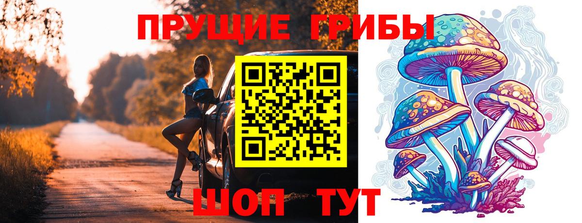 Псилоцибиновые грибы прущие грибы Дубна